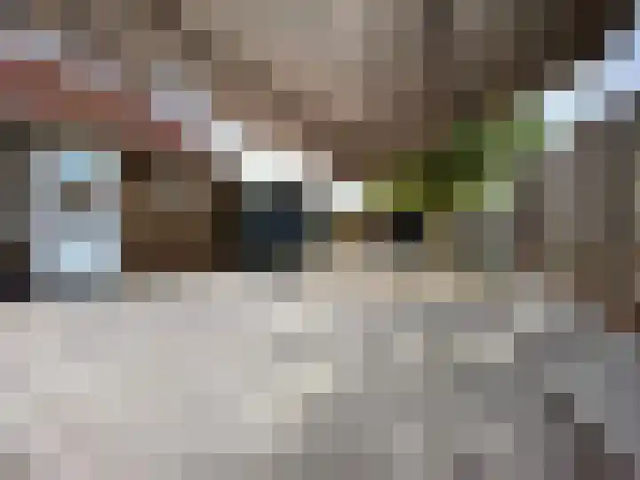 Wilhelminalaan 10 Echt thumbnail 24