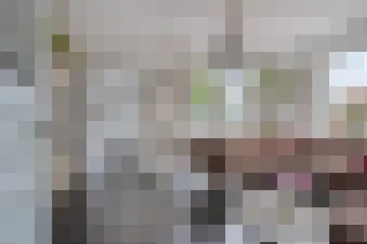 Wilhelminalaan 10 Echt thumbnail 4