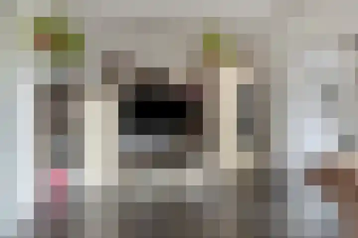 Wilhelminalaan 10 Echt thumbnail 8