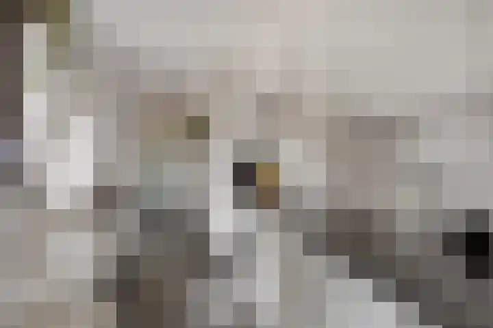 Wilhelminalaan 10 Echt thumbnail 9