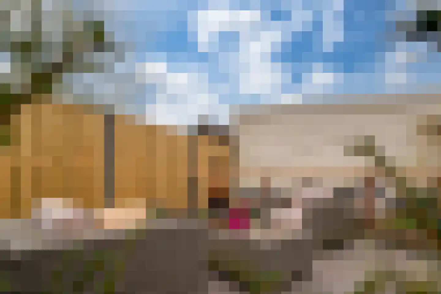 Wilhelminalaan 10 Zevenaar thumbnail 34