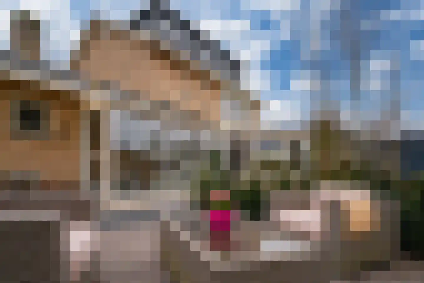 Wilhelminalaan 10 Zevenaar thumbnail 35