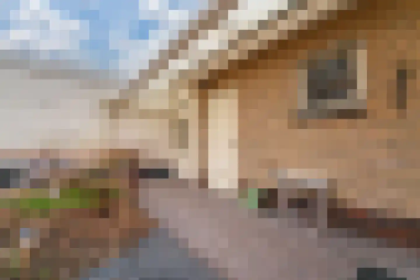 Wilhelminalaan 10 Zevenaar thumbnail 45