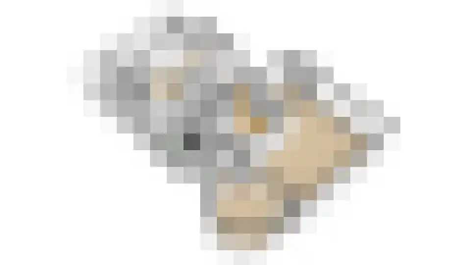 Wilhelminalaan 10 Zevenaar thumbnail 69