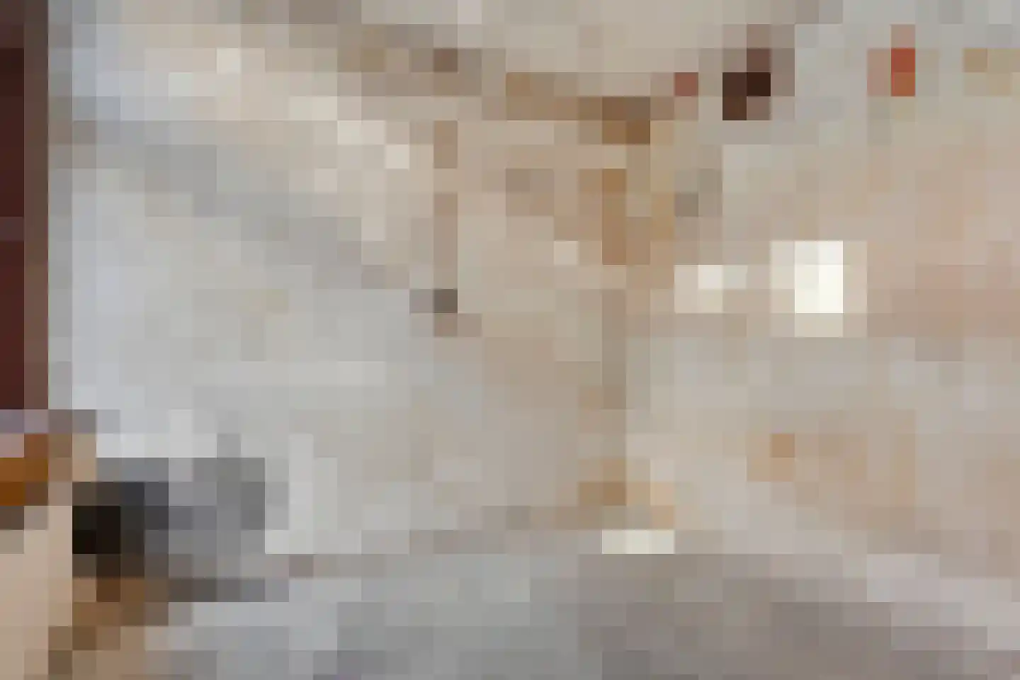 Wilhelminalaan 100 Kampen thumbnail 12
