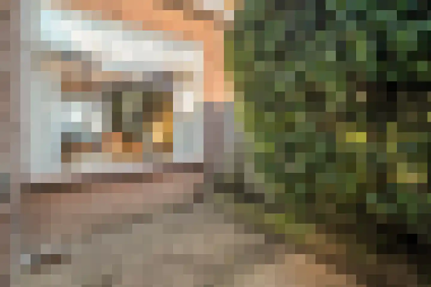 Wilhelminalaan 100 Kampen thumbnail 33