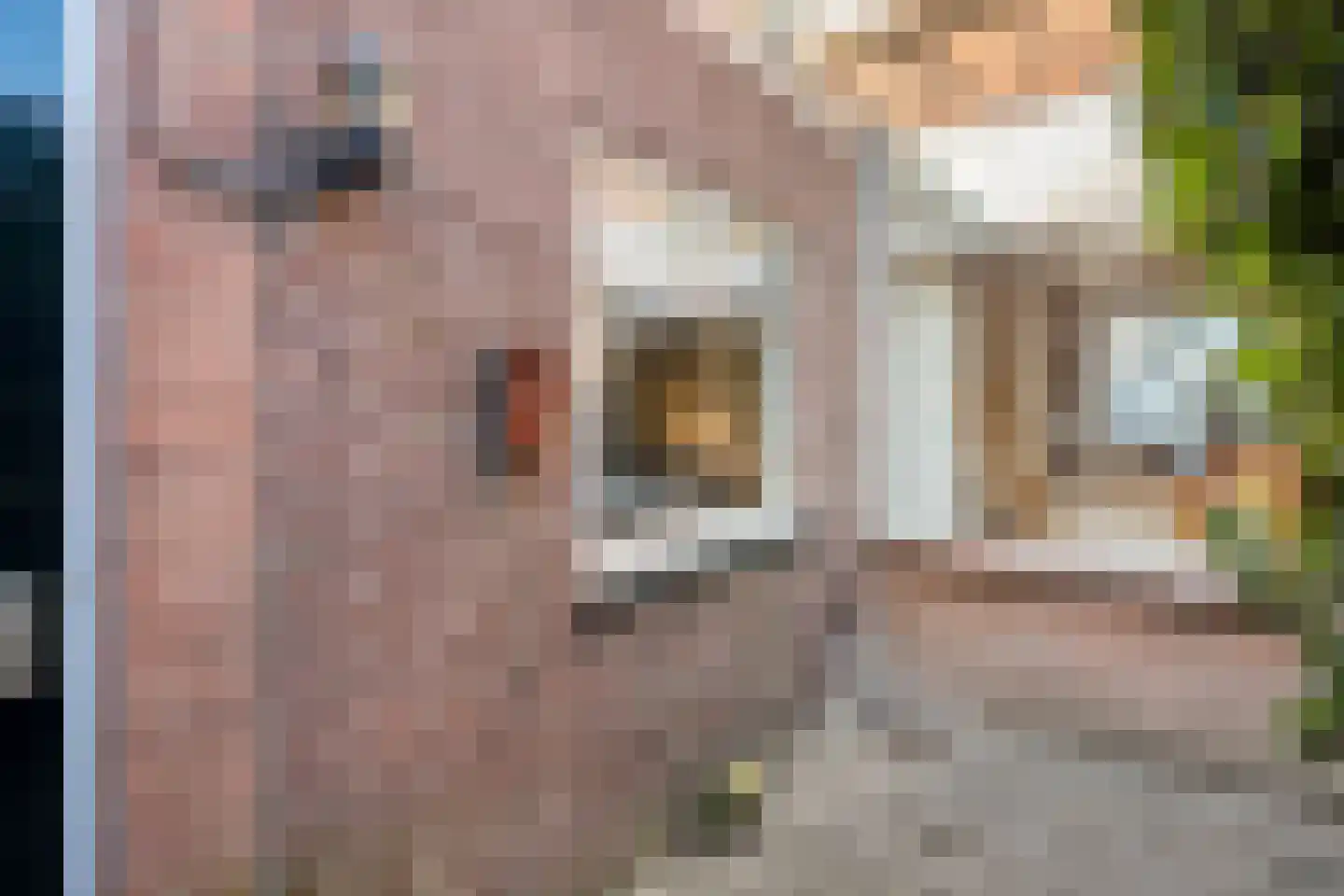 Wilhelminalaan 100 Kampen thumbnail 34