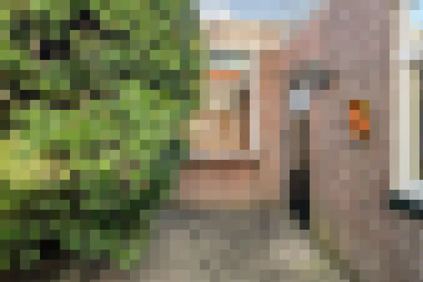 Wilhelminalaan 100 Kampen thumbnail 35