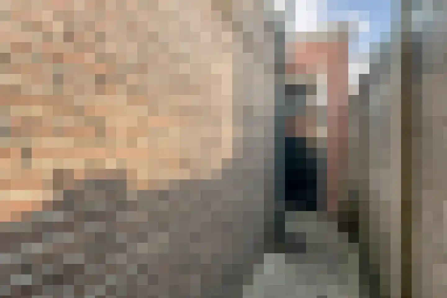 Wilhelminalaan 100 Kampen thumbnail 40