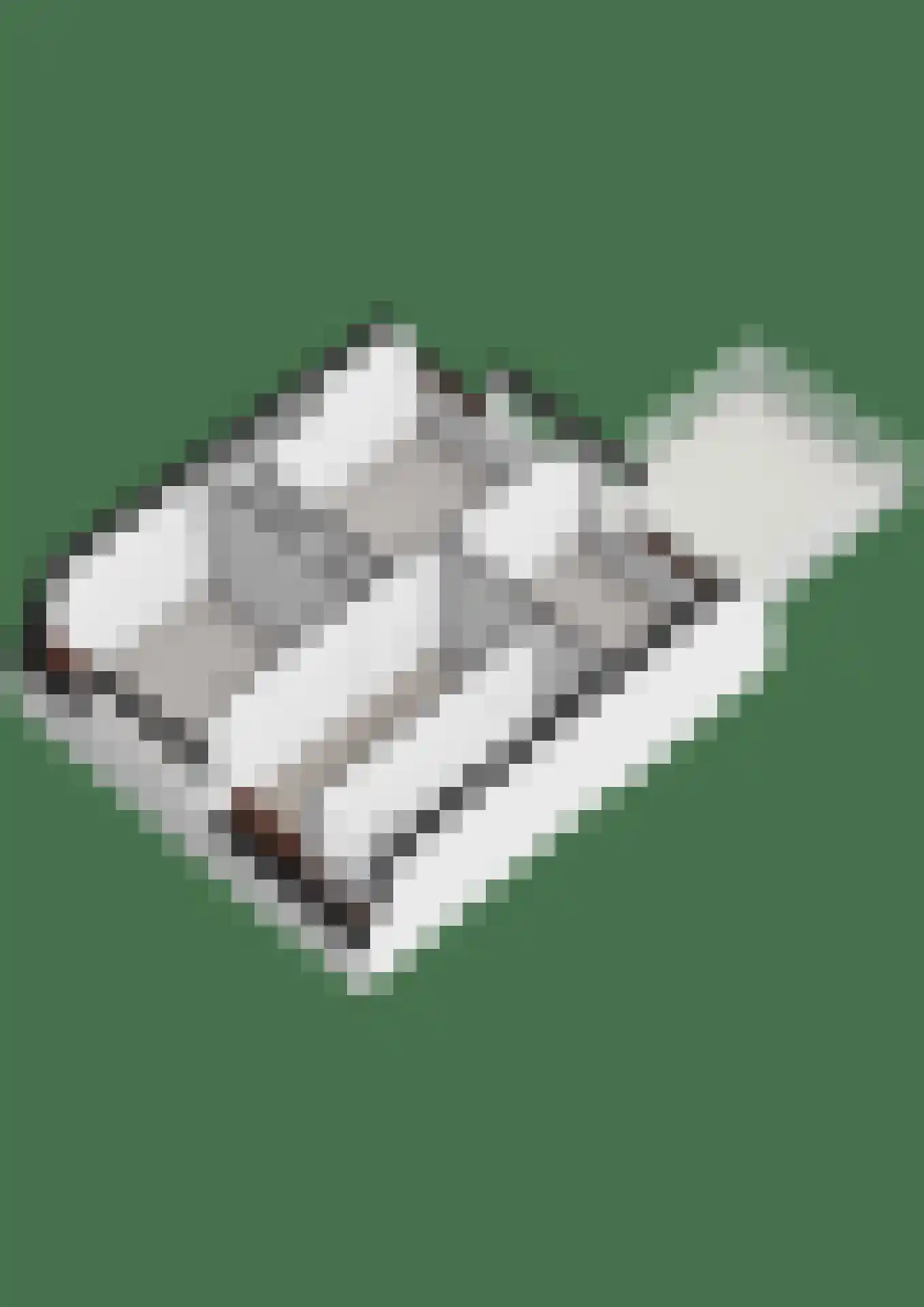 Wilhelminalaan 100 Kampen thumbnail 48