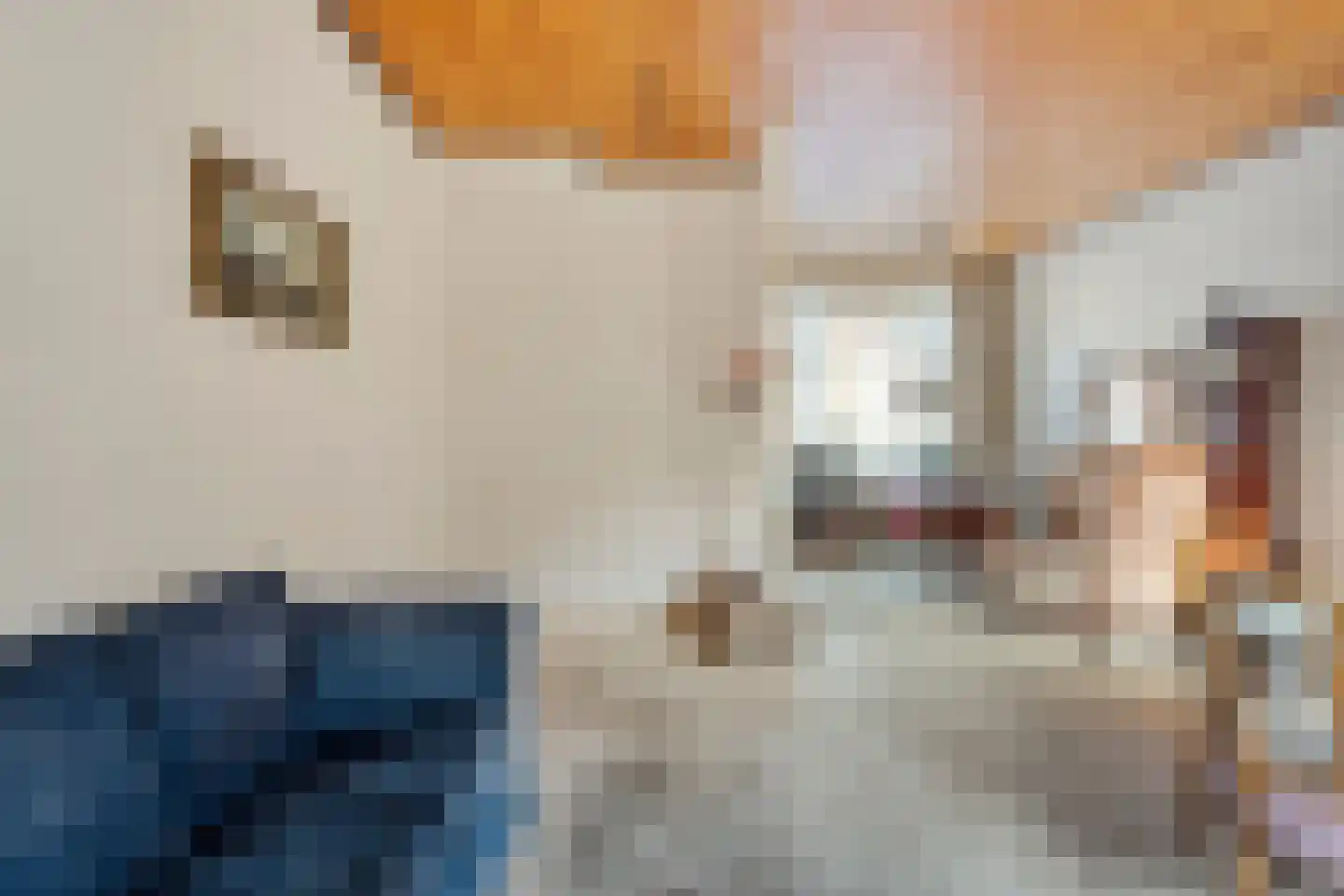 Wilhelminalaan 100 Kampen thumbnail 6