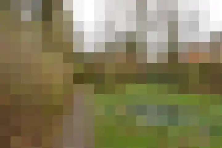 Wilhelminalaan 100 Zuidhorn thumbnail 33