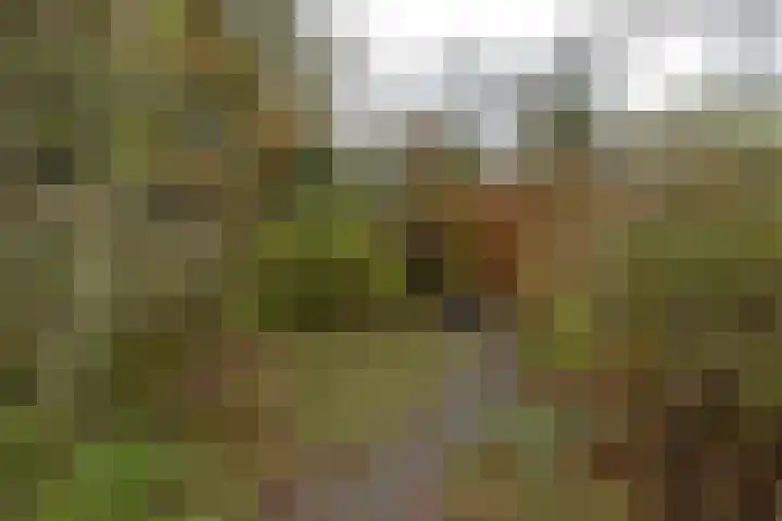 Wilhelminalaan 100 Zuidhorn thumbnail 34