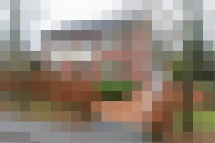 Wilhelminalaan 100 Zuidhorn thumbnail 35