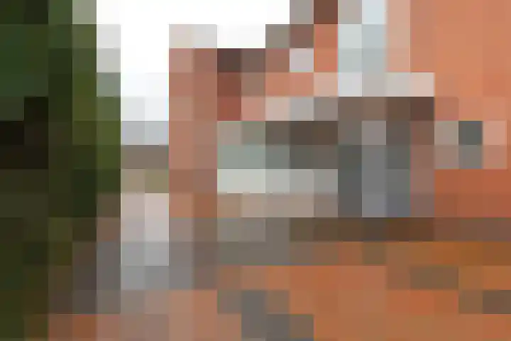 Wilhelminalaan 100 Zuidhorn thumbnail 5