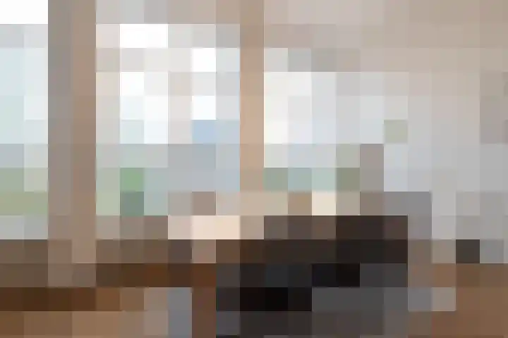 Wilhelminalaan 100 Zuidhorn thumbnail 9