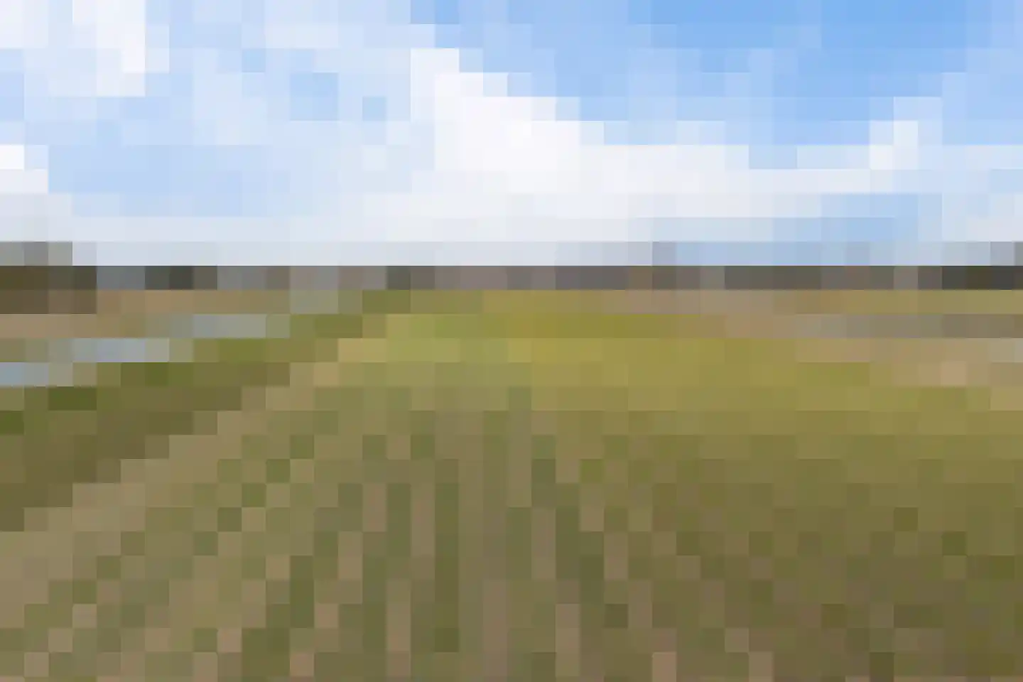 Wilhelminalaan 109 Hillegom thumbnail 34