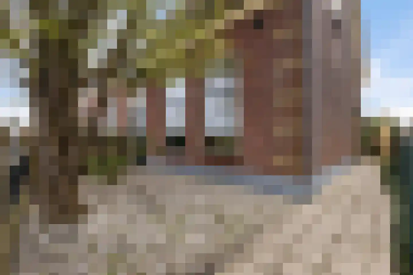 Wilhelminalaan 109 Hillegom thumbnail 35