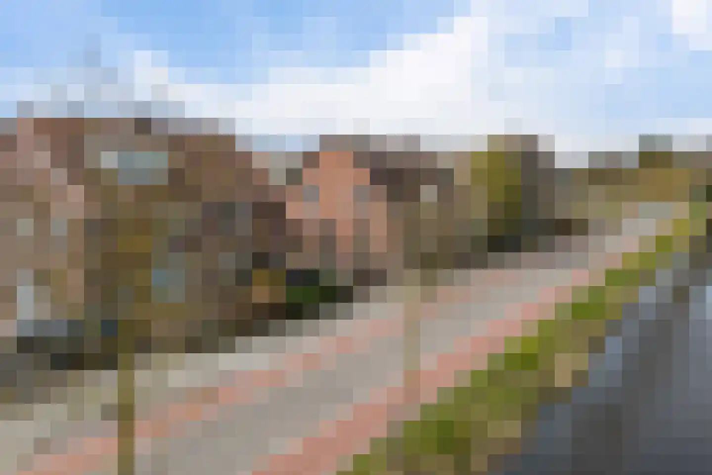 Wilhelminalaan 109 Hillegom thumbnail 36
