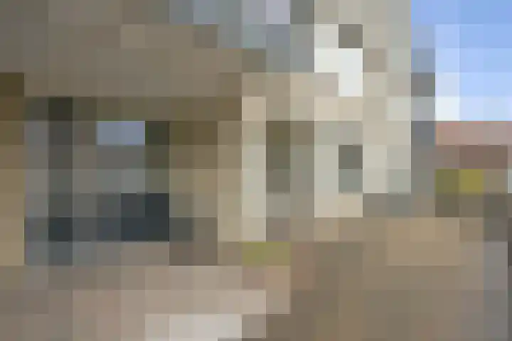 Wilhelminalaan 11 A 2 Roermond thumbnail 9
