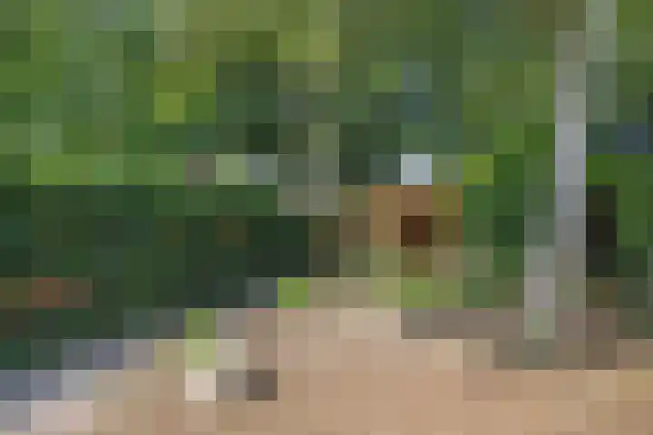 Wilhelminalaan 11 Harderwijk thumbnail 25