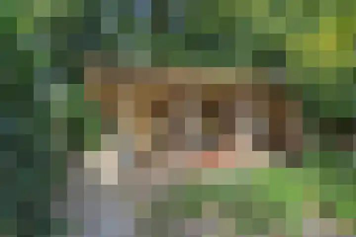 Wilhelminalaan 11 Harderwijk thumbnail 26
