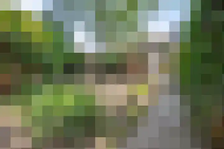 Wilhelminalaan 11 Harderwijk thumbnail 27