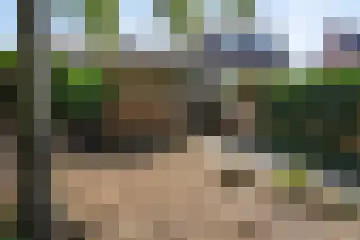 Wilhelminalaan 11 Harderwijk thumbnail 28
