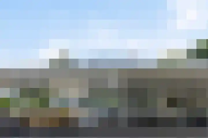 Wilhelminalaan 11 Harderwijk thumbnail 32