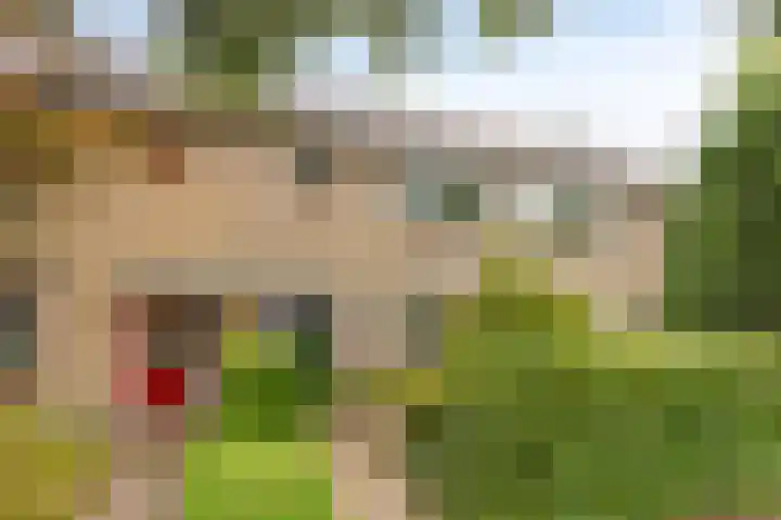 Wilhelminalaan 119 in Delft