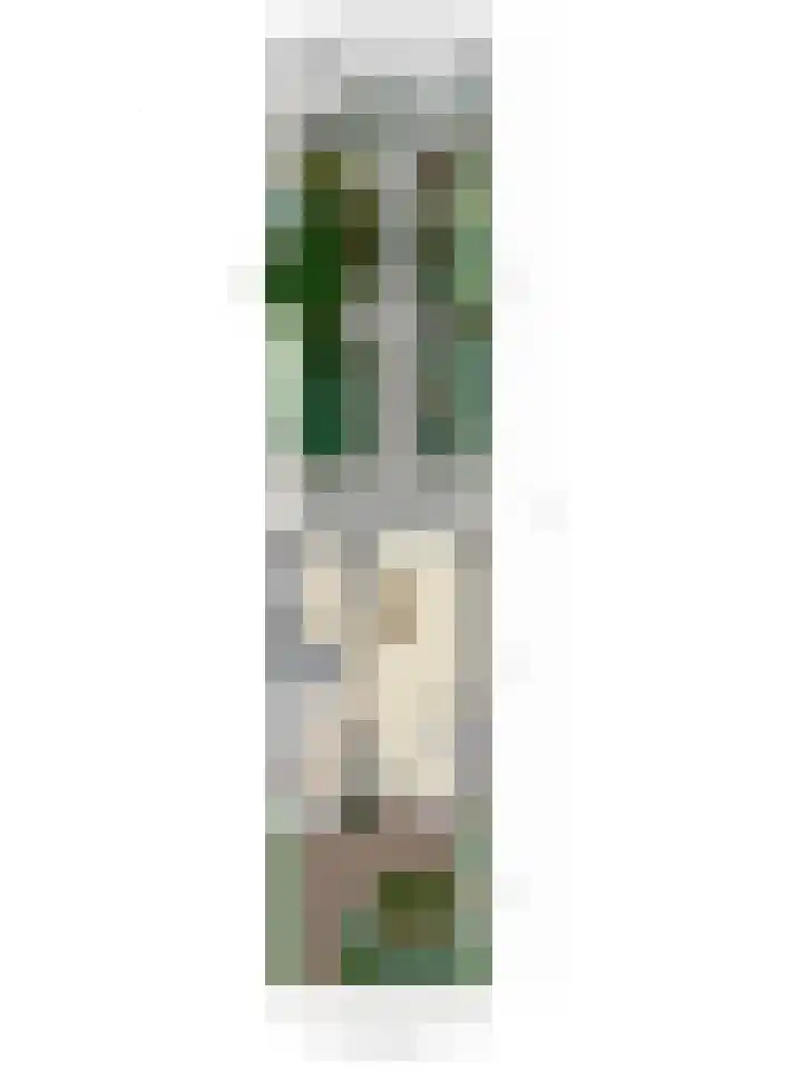 Wilhelminalaan 119 Delft thumbnail 28