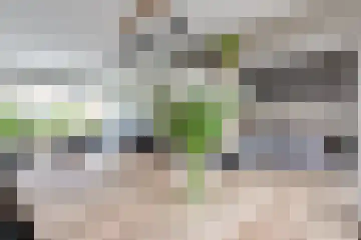Wilhelminalaan 12 Nieuwkoop thumbnail 17