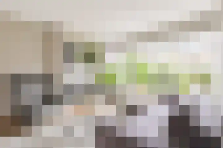 Wilhelminalaan 12 Nieuwkoop thumbnail 6