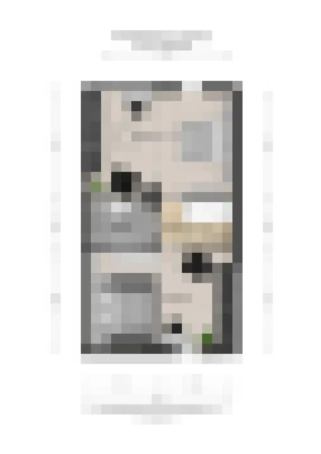 Wilhelminalaan 136 Beuningen Gld thumbnail 65