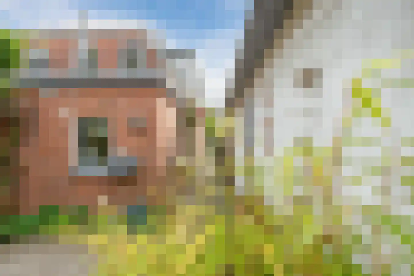 Wilhelminalaan 14 Lochem thumbnail 42