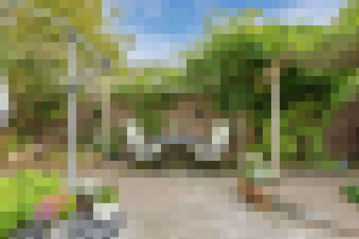 Wilhelminalaan 14 Lochem thumbnail 44