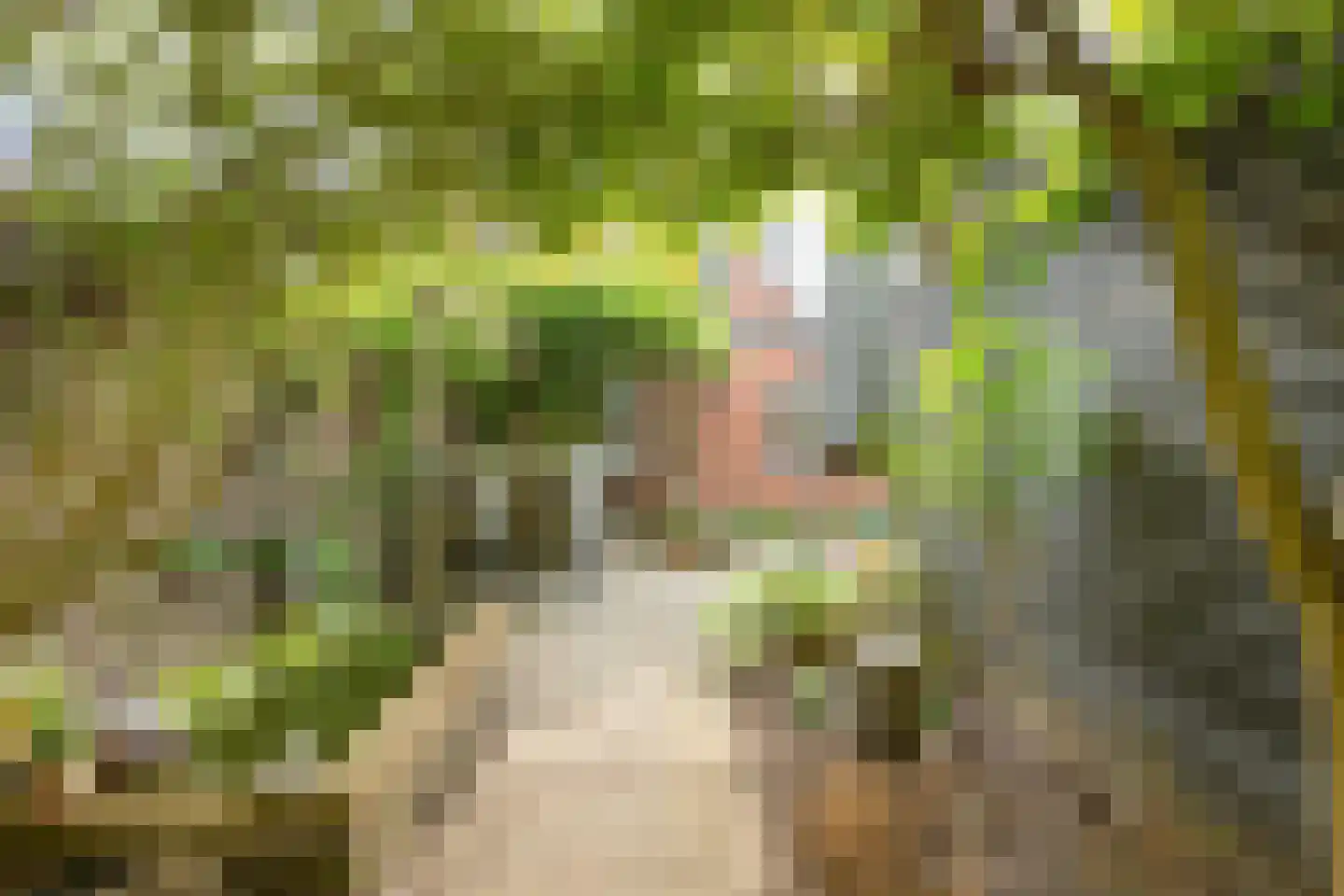 Wilhelminalaan 14 Lochem thumbnail 47