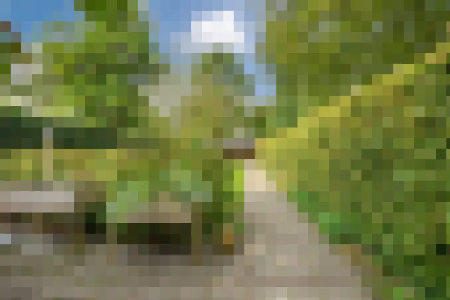 Wilhelminalaan 14 Lochem thumbnail 48