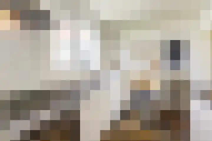 Wilhelminalaan 14 Maasbree thumbnail 13