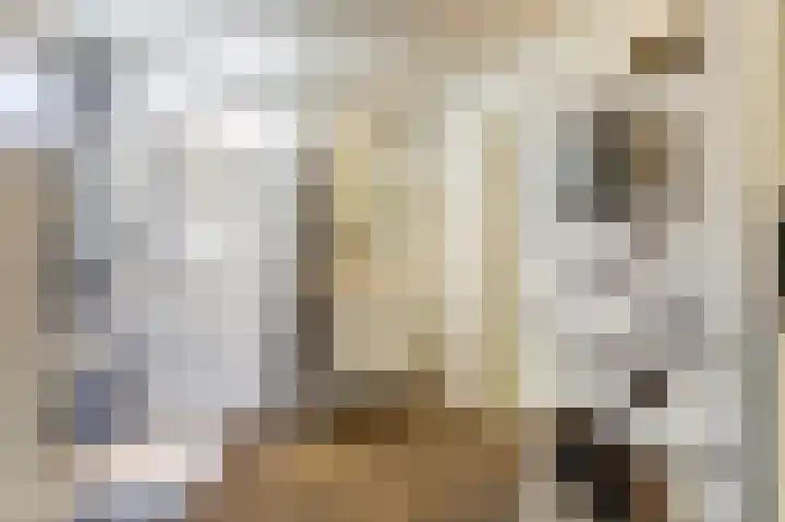 Wilhelminalaan 14 Maasbree thumbnail 15