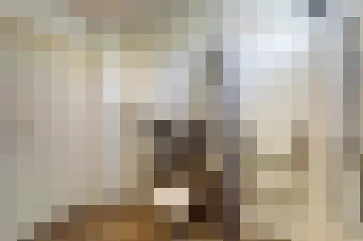 Wilhelminalaan 14 Maasbree thumbnail 16