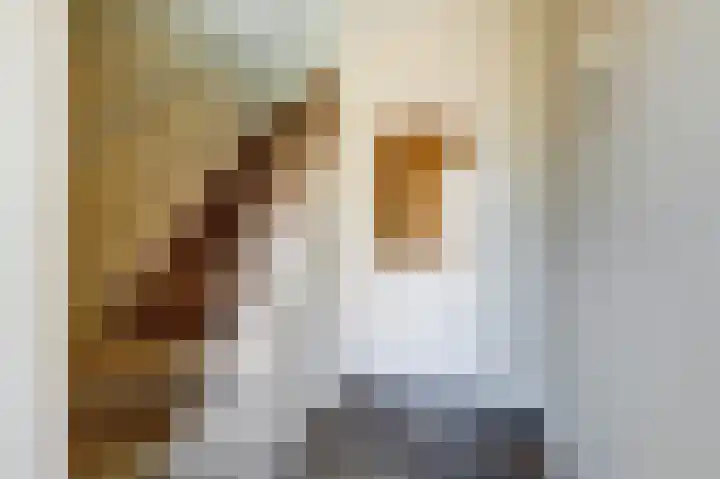 Wilhelminalaan 14 Maasbree thumbnail 19