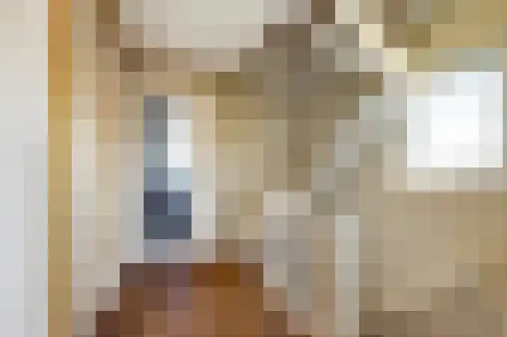 Wilhelminalaan 14 Maasbree thumbnail 20