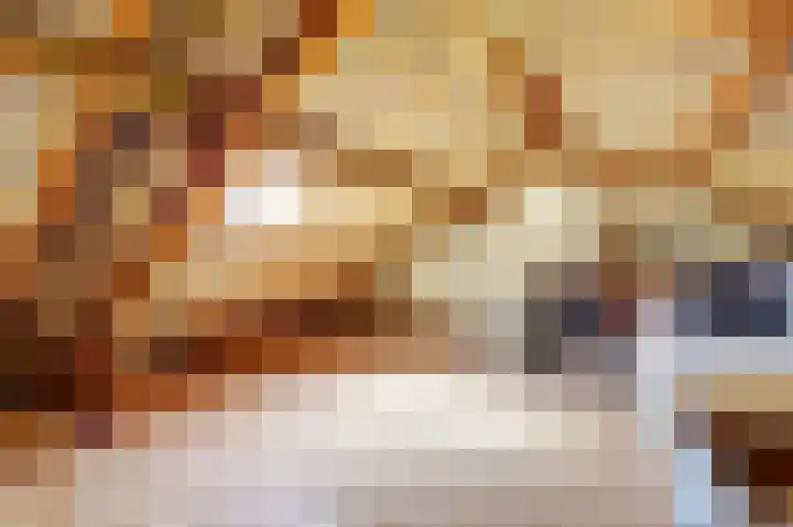 Wilhelminalaan 14 Maasbree thumbnail 27