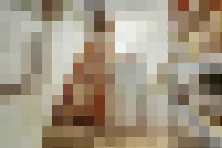Wilhelminalaan 14 Maasbree thumbnail 29