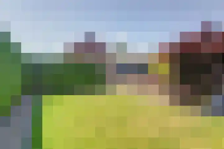 Wilhelminalaan 14 Maasbree thumbnail 39