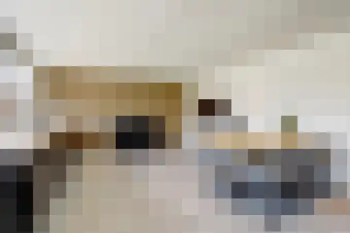 Wilhelminalaan 14 Maasbree thumbnail 4