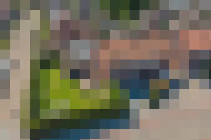 Wilhelminalaan 14 Maasbree thumbnail 40