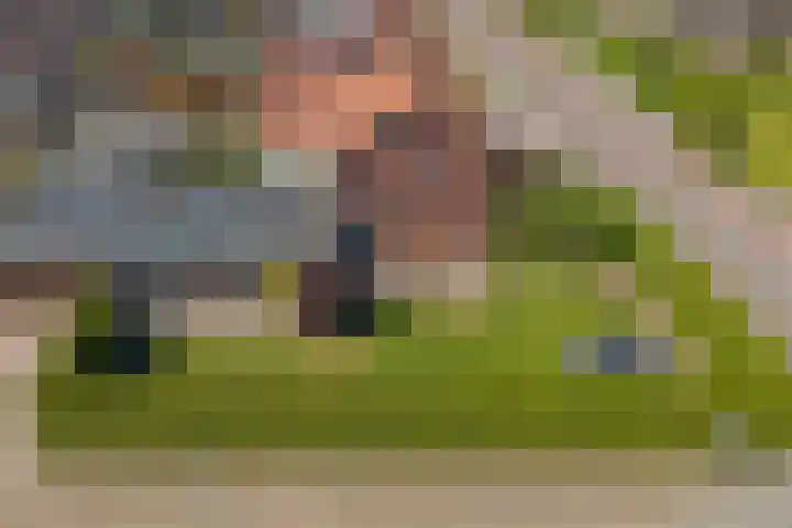 Wilhelminalaan 14 Maasbree thumbnail 42