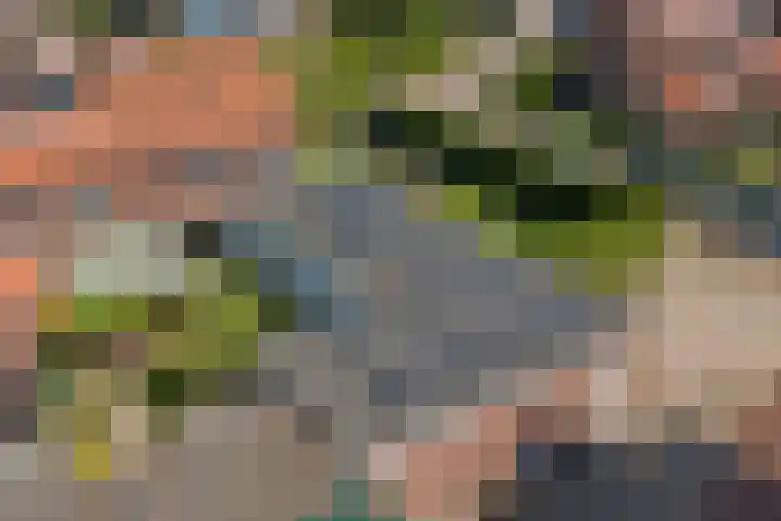 Wilhelminalaan 14 Maasbree thumbnail 43